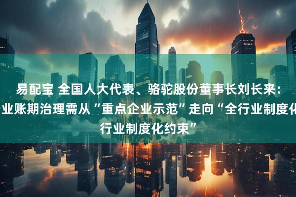 易配宝 全国人大代表、骆驼股份董事长刘长来：汽车行业账期治理需从“重点企业示范”走向“全行业制度化约束”