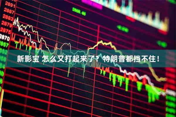 新影宝 怎么又打起来了？特朗普都挡不住！