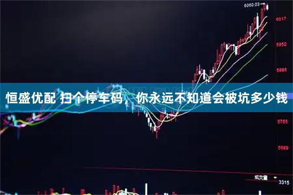 恒盛优配 扫个停车码，你永远不知道会被坑多少钱